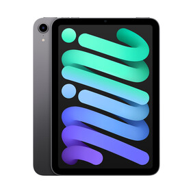 iPad mini Wi-Fi, 64GB mit Retina Display, space grau, (6.Gen.)&amp;gt;