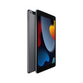 iPad Wi-Fi + Cellular, 256GB, space grau, 10.2" (9.Gen.)