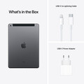 iPad Wi-Fi + Cellular, 256GB, space grau, 10.2" (9.Gen.)