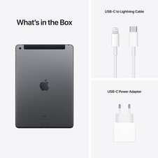iPad Wi-Fi + Cellular, 256GB, space grau, 10.2" (9.Gen.)