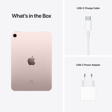 iPad mini Wi-Fi + Cellular, 256GB mit Retina Display, rose, (6.Gen.)>