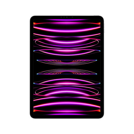 iPad Pro Wi-Fi, 256GB, space grau, 11" (4.Gen.)>