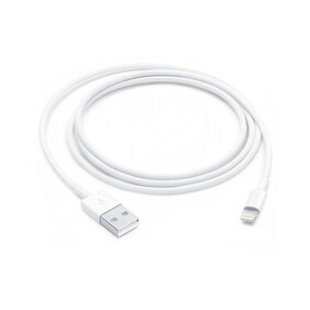 Apple Lightning auf USB Kabel (1m)