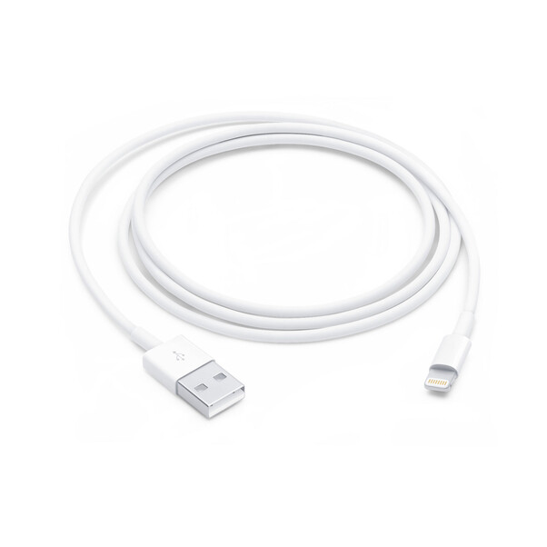 Apple Lightning auf USB Kabel (1m)