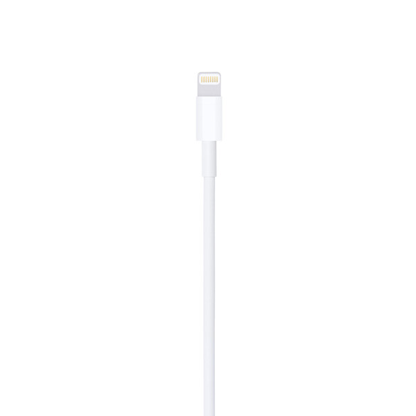 Apple Lightning auf USB Kabel (1m)