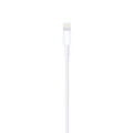 Apple Lightning auf USB Kabel (1m)