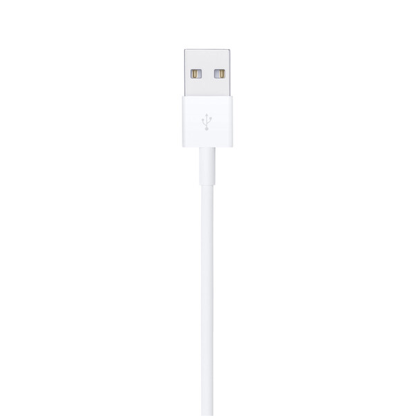 Apple Lightning auf USB Kabel (1m)