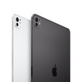 11" iPad Pro Wi-Fi 256 GB Standardglas - Silber (M4)