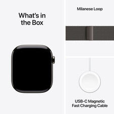 Apple Watch Series 10 GPS + Cellular, Titan schiefer, 46mm mit Milanaise-Armband, schiefer - S/M>