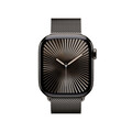 Apple Watch Series 10 GPS + Cellular, Titan schiefer, 42mm mit Milanaise-Armband, schiefer>