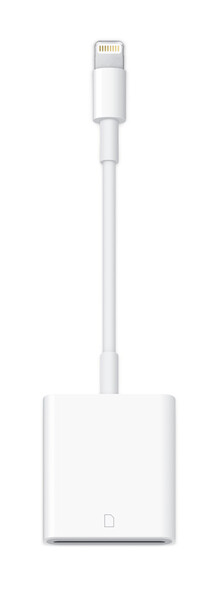 Apple USB-C auf SD Kartenlesegerät