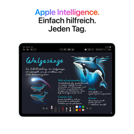 13" iPad Air Wi-Fi 128 GB - Space Grau (M4)