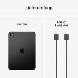 11" iPad Pro Wi-Fi 256 GB Standardglas - Space Schwarz (M5)