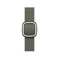 42 mm Armband mit Moderner Schließee Silbergrau - Medium