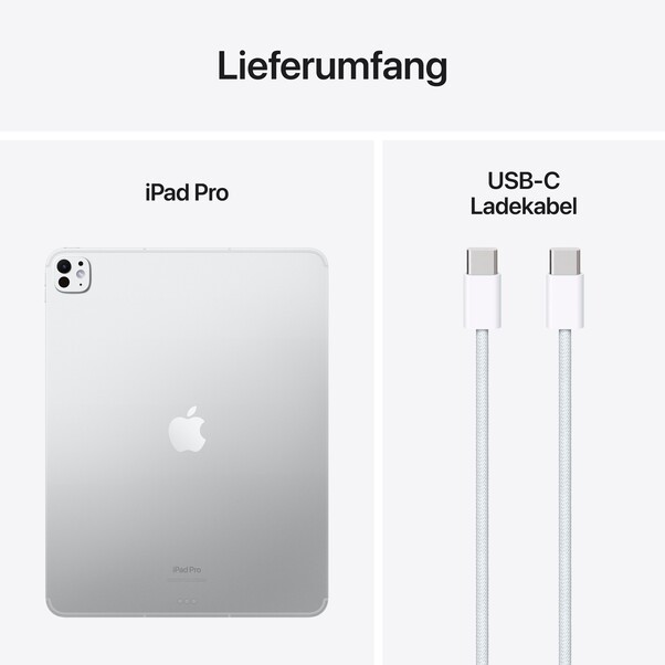 13" iPad Pro Wi-Fi + Cellular 256 GB Standardglas - Silber (M4)