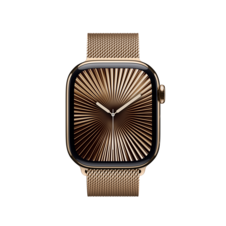 42 mm Milanaise Armband Gold