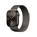 Apple Watch Series 10 GPS + Cellular, 42 mm Titangehäuse Schiefer, Milanaise Armband Schiefer