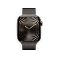 Apple Watch Series 10 GPS + Cellular, 42 mm Titangehäuse Schiefer, Milanaise Armband Schiefer