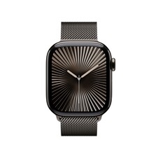 Apple Watch Series 10 GPS + Cellular, 42 mm Titangehäuse Schiefer, Milanaise Armband Schiefer