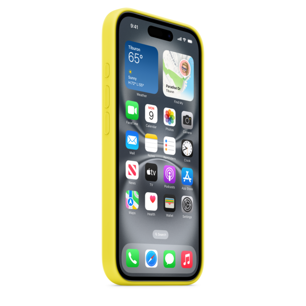 iPhone 16 Silikon Case mit MagSafe – Sternfrucht