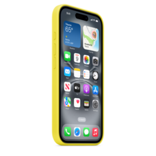 iPhone 16 Silikon Case mit MagSafe – Sternfrucht
